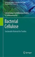 Bacterial Cellulose