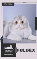 Foldex: Cat breed overview, care handbook