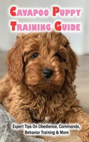 Cavapoo Puppy Training Guide