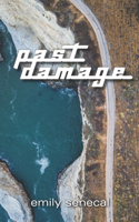Past Damage