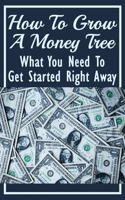 How To Grow A Money Tree: What You Need To Get Started Right Away: Growing The Money Tree