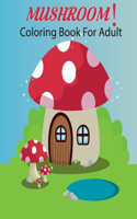 Mushrooms Coloring Book For Adult