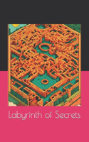 Labyrinth of Secrets