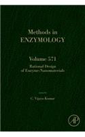 Rational Design of Enzyme-Nanomaterials