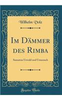 Im Dï¿½mmer Des Rimba: Sumatras Urwald Und Urmensch (Classic Reprint): Sumatras Urwald Und Urmensch (Classic Reprint)