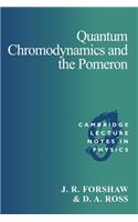 Quantum Chromodynamics and the Pomeron