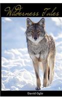 Wilderness Tales