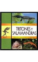 Tritones y Salamandras