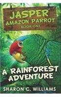 A Rainforest Adventure