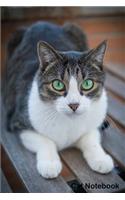 Cat Notebook