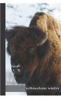 yellowstone winter