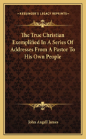 True Christian Exemplified In A Series Of Addresses From A Pastor To His Own People