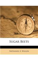 Sugar Beets