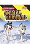 Animal Survival