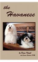 Havanese