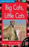 Learnabouts Lvl 9: Big Cats, Little Cats: (Learnabouts)