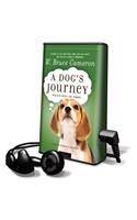 Dog's Journey