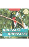 Quetzals and Other Latin American Birds / Quetzales Y Otras Aves de Latinoamérica