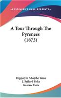 Tour Through The Pyrenees (1873)