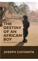 The Destiny of an African Boy