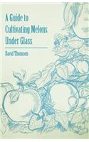A Guide to Cultivating Melons Under Glass