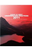 2011 Survey of Credit Underwriting Practices