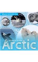 Animals in the Arctic