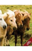 Horse Notebook Collection: (Horse Notebook, Journal, Diary) (Notebook Gifts) Collect Them All