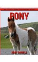 Pony! An Educational Children's Book about Pony with Fun Facts & Photos