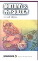 Anatomy and Physiology: (Lippincott's Healthcare Professional Guides)