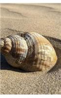 Seashell Notebook