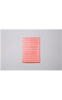 Hato Press Orange Lined Notebook