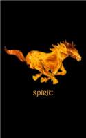 Spirit