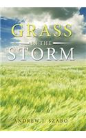 Grass in the Storm