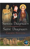 Cyfres Cip ar Gymru/Wonder Wales: Santes Dwynwen/Saint Dwynwen