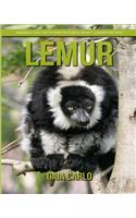 Lemur