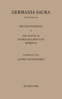 Die Bistümer Der Kirchenprovinz Mainz: Das Bistum Würzburg 5: Die Stifte in Schmalkalden Und Römhild