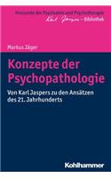 Konzepte Der Psychopathologie: Von Karl Jaspers Zu Den Ansatzen Des 21. Jahrhunderts