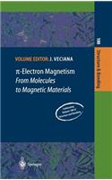π-Electron Magnetism