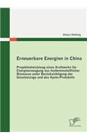 Erneuerbare Energien in China: Projektentwicklung eines Kraftwerks für Energieerzeugung aus festbrennstofflicher Biomasse unter Berücksichtigung der Gesetzeslage und des Kyoto-Pro