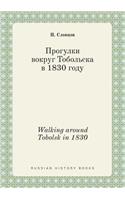 Walking around Tobolsk in 1830: (Russian)