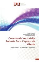 Commande Vectorielle Robuste Sans Capteur de Vitesse