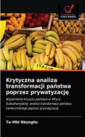 Krytyczna analiza transformacji państwa poprzez prywatyzację