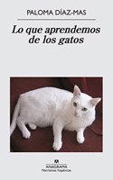 Lo que aprendemos de los gatos