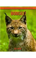 Bobcat! An Educational Children's Book about Bobcat with Fun Facts