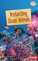 Protecting Ocean Animals