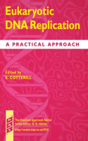 Eukaryotic DNA Replication