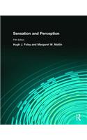 Sensation and Perception