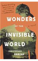 Wonders of the Invisible World