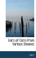 Ears of Corn from Various Sheaves: (English)